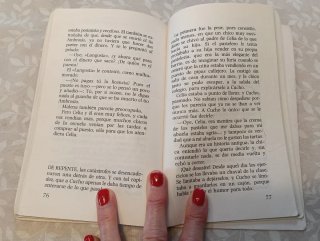Lote 2 libros: Cucho/El pequeño Nicolás-El chiste
