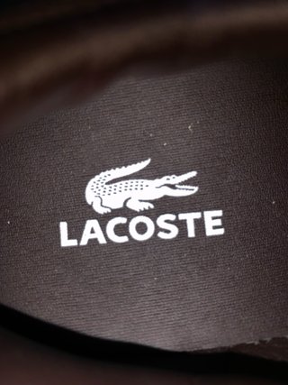 Sapatos Lacoste Castanhos
