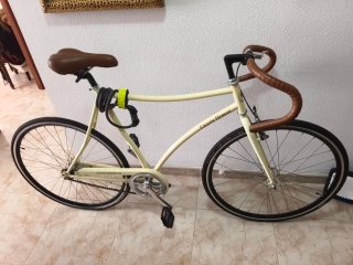 Bicicleta Crazy Horse Contrapedal