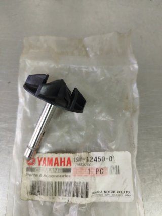 Eje Bomba Agua Yamaha YZF 250 2017