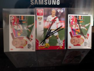 Cromos ISI Palazom firmados.
