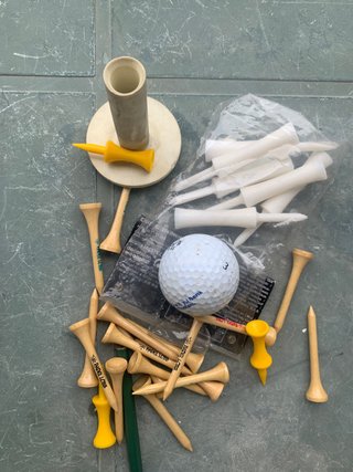 Bolsa de golf Inesis