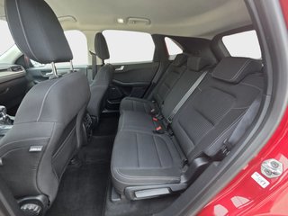Kuga - Desde 353€ al mes ¡sin pagar entrada!