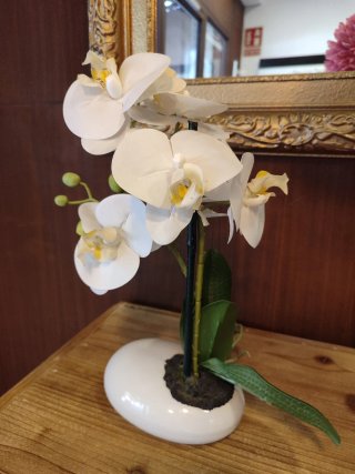 Orquídea Decorativa Blanca y Verde