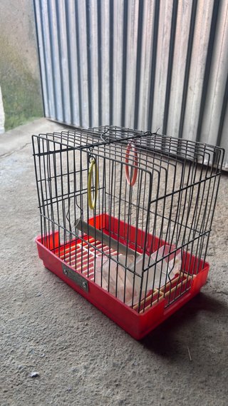 Jaula para pájaros con accesorios