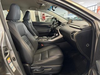 Lexus NX 2.5 300h Corporate 2WD + Navibox