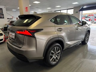 Lexus NX 2.5 300h Corporate 2WD + Navibox