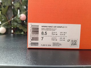 Nike Air Winflo 11