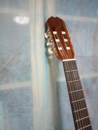 Guitarra Española con Funda