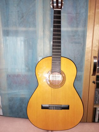 Guitarra Española con Funda
