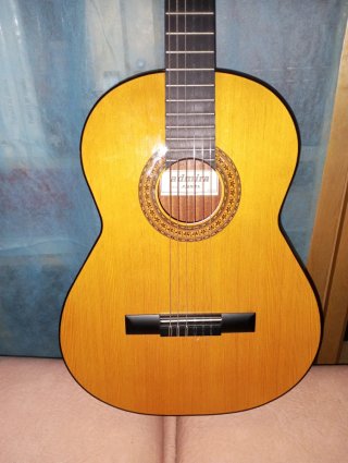Guitarra Española con Funda