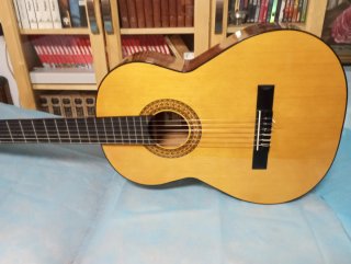 Guitarra Española con Funda