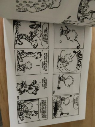 2 comics Calvin y Hobbes