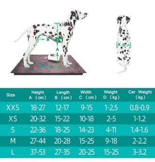 Carrello di addestramento per cani