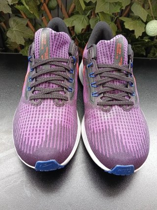Nike Air Zoom Pegasus 39