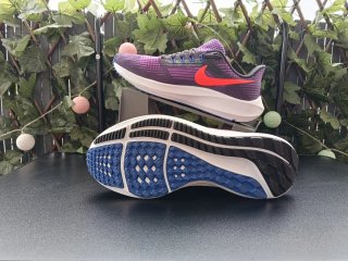 Nike Air Zoom Pegasus 39