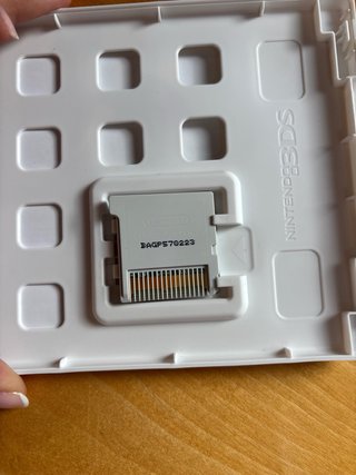 Ever Oasis Nintendo 3DS RPG