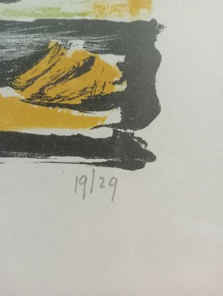 Serigrafia Gino Viviani 19/29