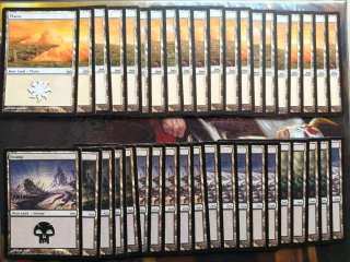Lote 40 Tierras Magic MTG Divine VS Demonic
