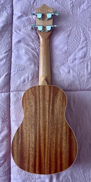 Ukelele Andoer 21 Soprano Hawaiano + Funda
