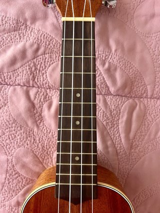 Ukelele Andoer 21 Soprano Hawaiano + Funda