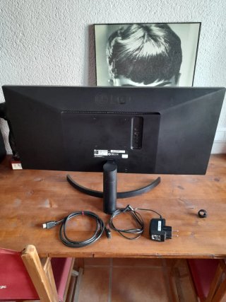 Monitor LG 29 Ultrawide