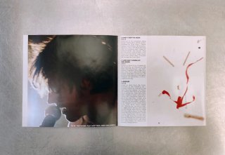 CD Jamie Cullum - The Pursuit.