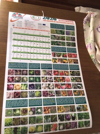 Calendario illustrativo 2026