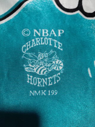 Camiseta Baloncesto Charlotte Hornets