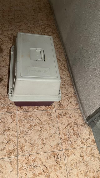 Transportín para mascotas beige y morado