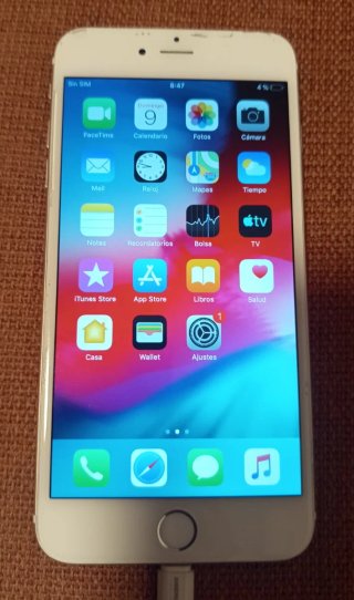 iPhone 6 Plus_ Argento/Bianco