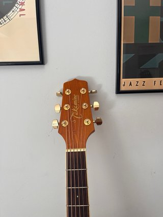 Takamine EG333C LTD Guitarra Acústica