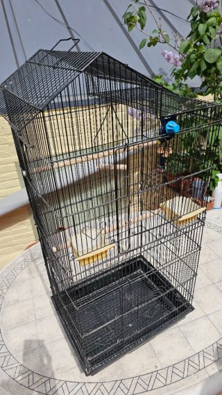 Jaula para pájaros negra