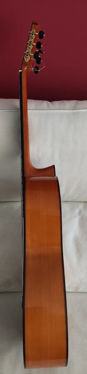 Guitarra Flamenca Pedro Martínez Peñalver