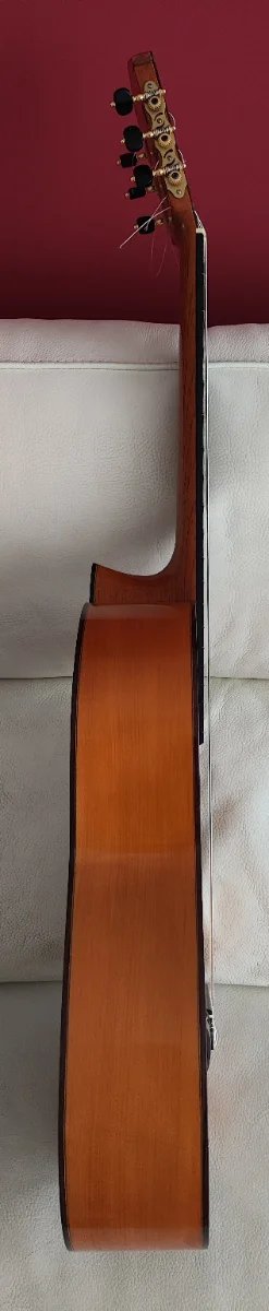 Guitarra Flamenca Pedro Martínez Peñalver