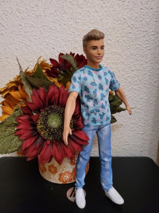 Muñeco Ken con camiseta y vaqueros