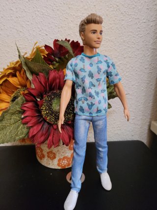 Muñeco Ken con camiseta y vaqueros