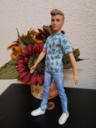 Muñeco Ken con camiseta y vaqueros