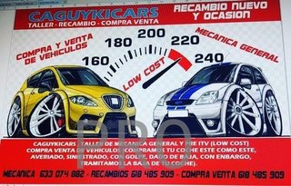 Bonina encendido audi a4