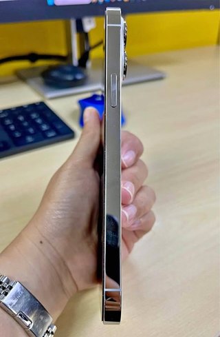 iPhone 13 Pro Max Plata