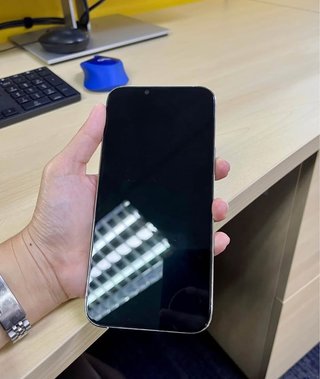 iPhone 13 Pro Max Plata