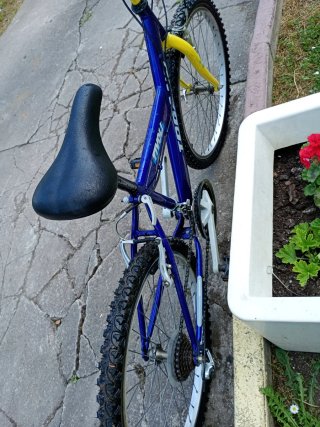 Bicicleta de Montaña Azul y Amarilla