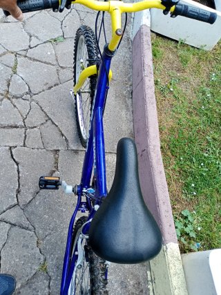 Bicicleta de Montaña Azul y Amarilla