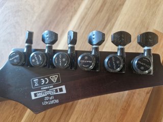 Guitarra Eléctrica Ibanez RTRG421