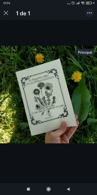 Libros herbalismo y plantas medicinales