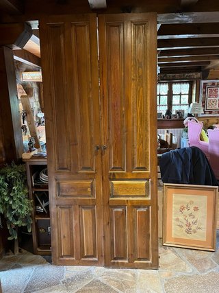Puertas de armario de madera de 224x60cm