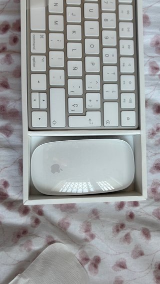 Apple Teclado y Mouse inalámbricos