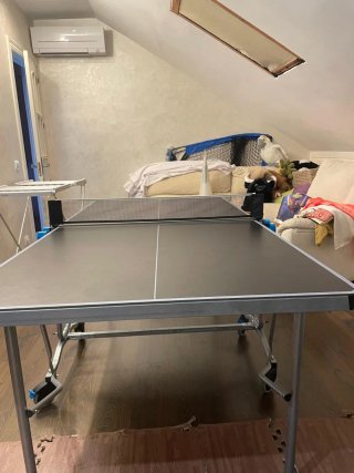 Mesa Ping Pong Decathlon PPT 530 Outdoor