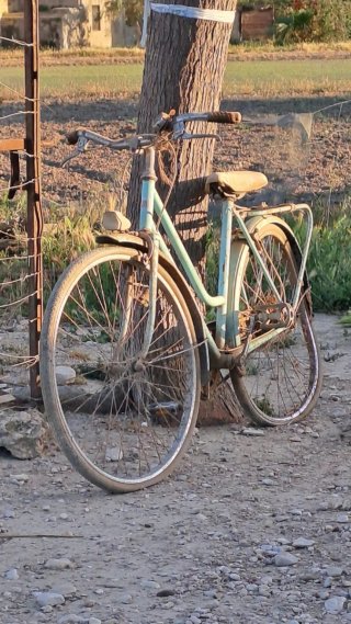 Bicicleta antigua color verde