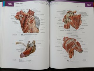 Sobotta. Atlas de Anatomía Humana. Tomo 1 + REGALO